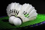 Rozgrywki w badmintonie Uczniowskiego Klubu Sportowego „KIKO Zamość”