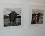 Otwarcie wystawy fotograficznej Adama Pańczuka "Karczeby"